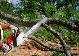 Best Lawn Pest Prevention  in Greensburg, IN